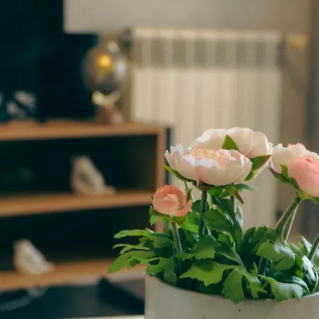 Wicalia Shortstays * Mem Martins